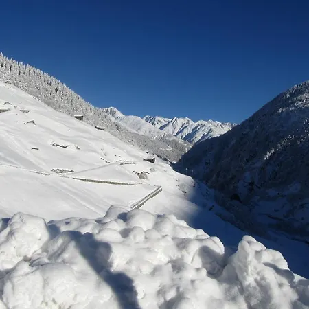 Cuntera